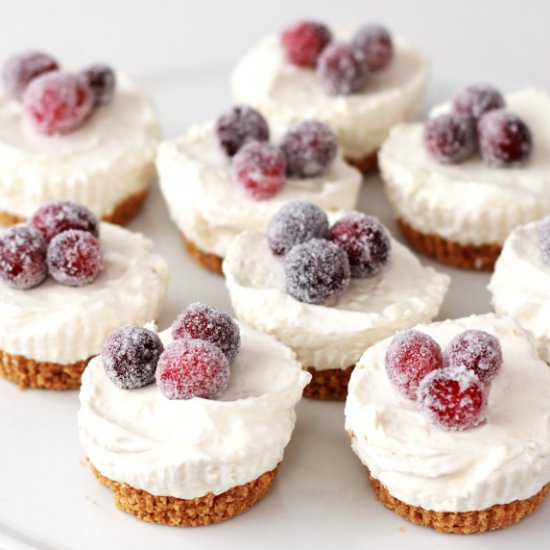 sugared cranberry mini cheesecakes