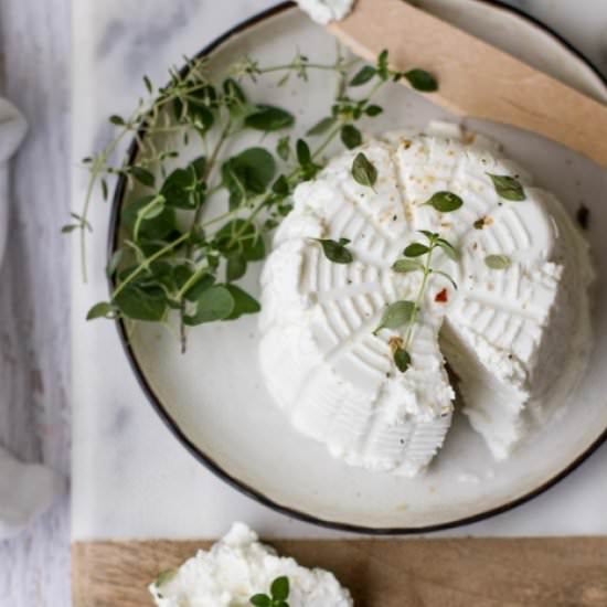 Homemade Goat’s Cheese