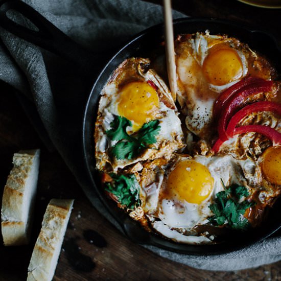 Eggs Fried with Tomatoes