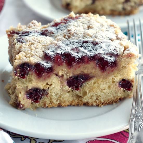 Orange & Cranberry Streusel Cake