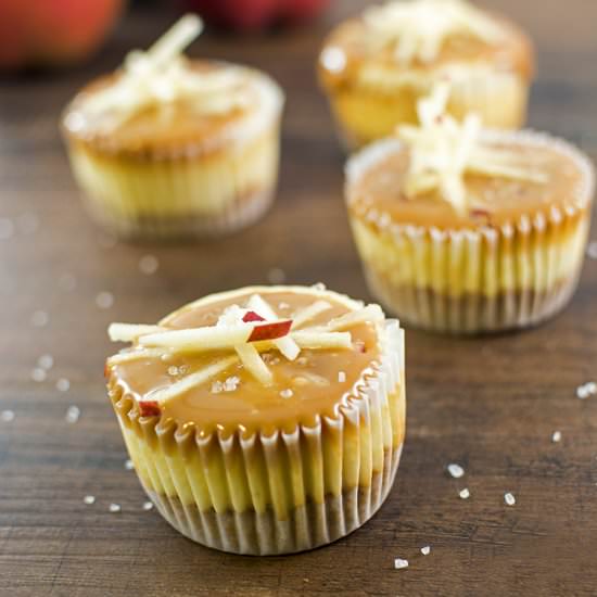 Salted Caramel Mini Cheesecakes