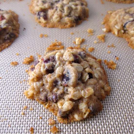 Cranberry Chocolate Oatmeal Cookies