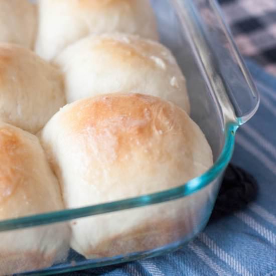 World’s Best Dinner Rolls