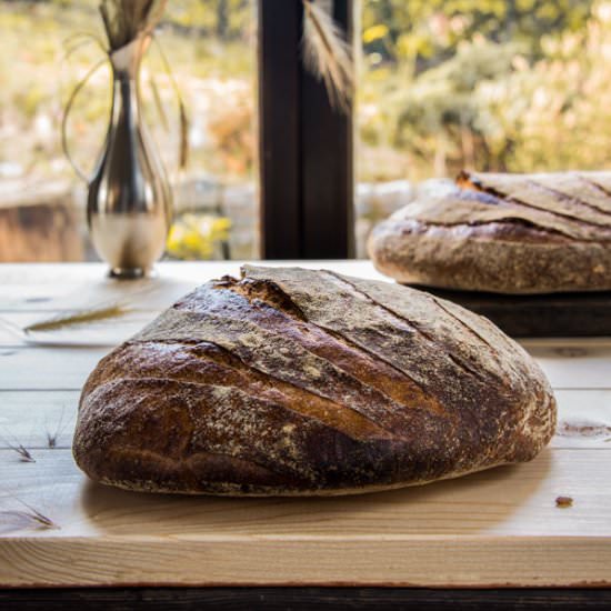 Organic white bread