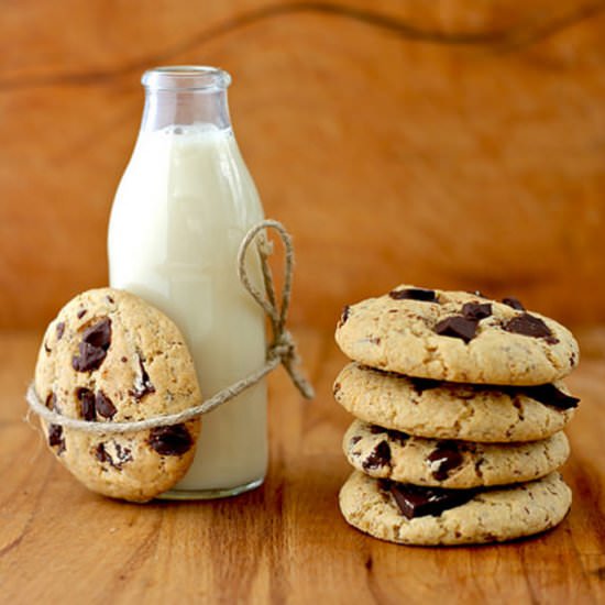 Chocolate Chip Gingerbread Cookies