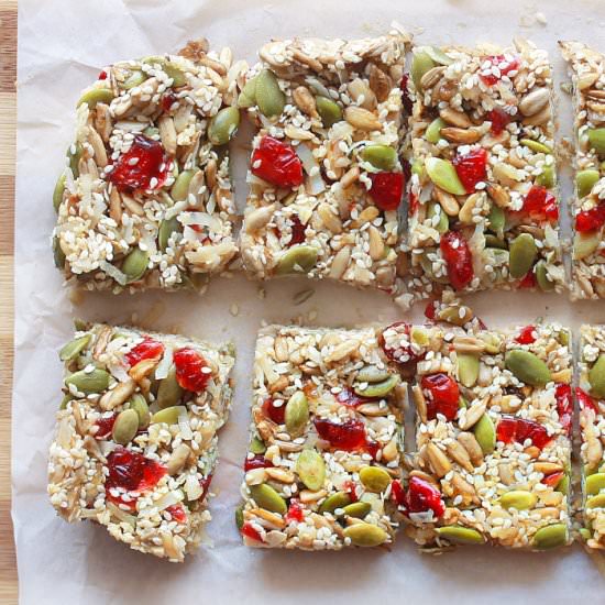 No Bake Coconut Cranberry Seed Bar