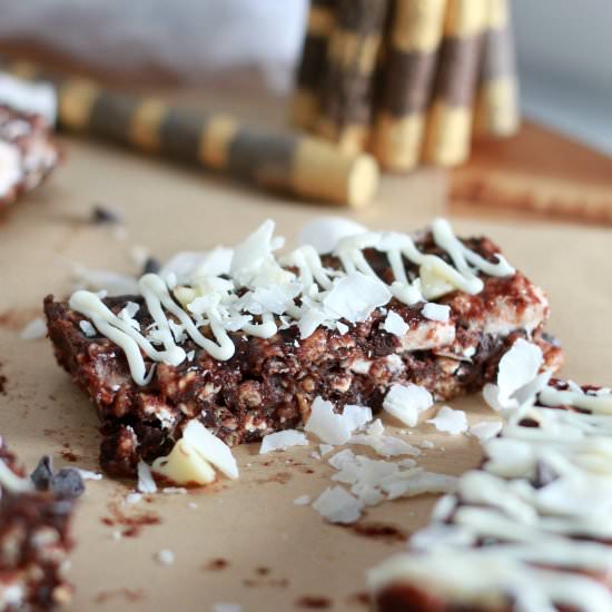 Chocolate Fudge Protein Bars