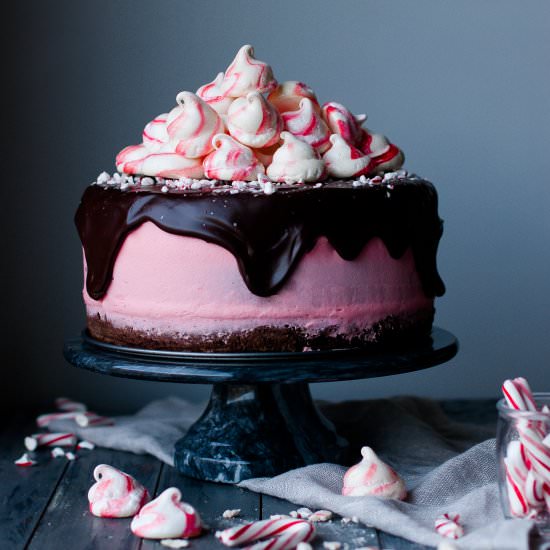 Chocolate Peppermint Holiday Cake