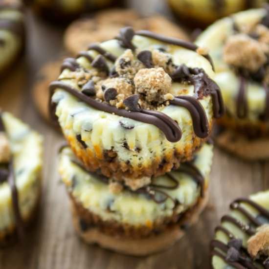 Chocolate Chip Cookie Cheesecakes