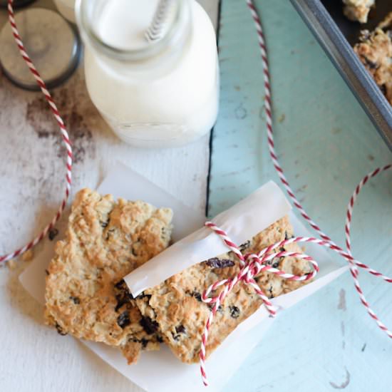 Oatmeal Raisin Snack Bar