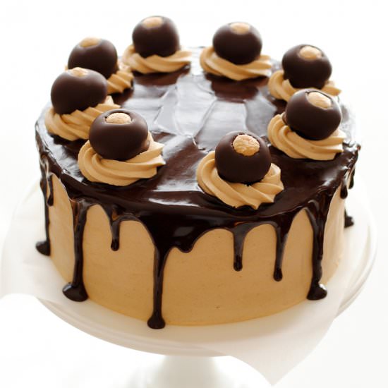 Peanut Butter Ball Cake