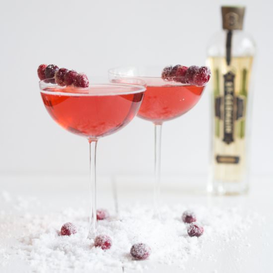 cranberry elderflower champagne spa