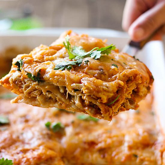 Chicken Enchilada Casserole