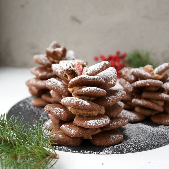 Chocolate Cookie Pine Cones