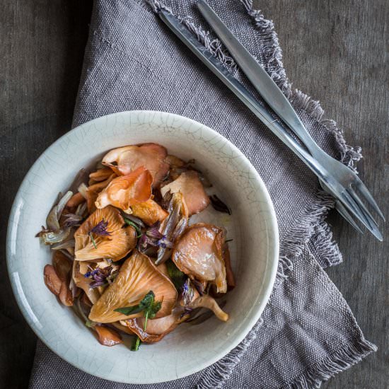 Pink Oyster Mushrooms
