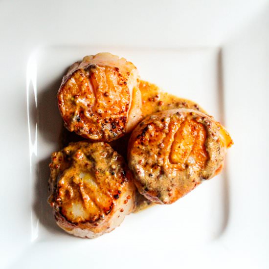 Scallops