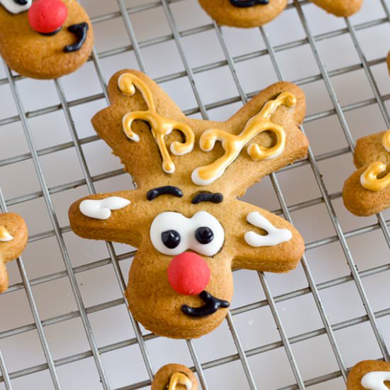 Gingerbread Reindeer