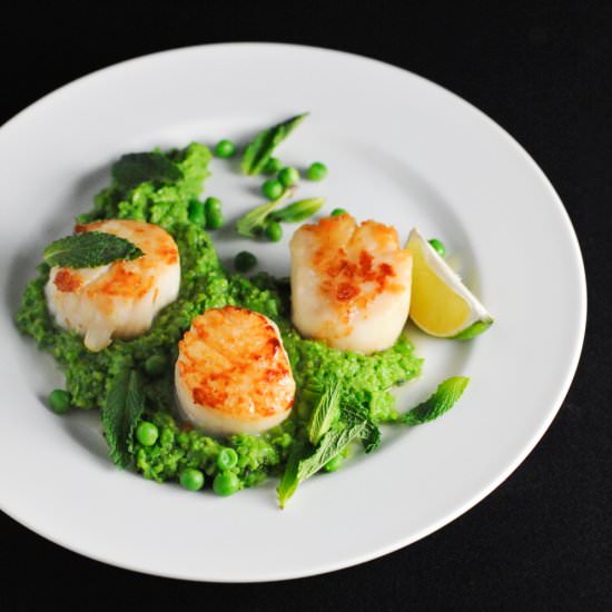 Scallops with Thai Scented Pea Mash