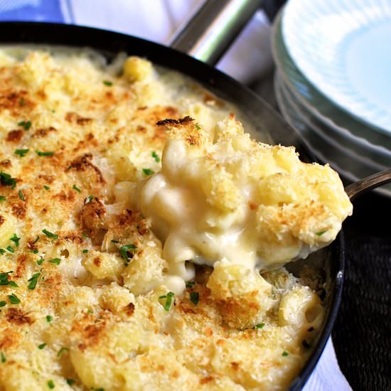 One Pot Saucy Creamy Mac and Cheese