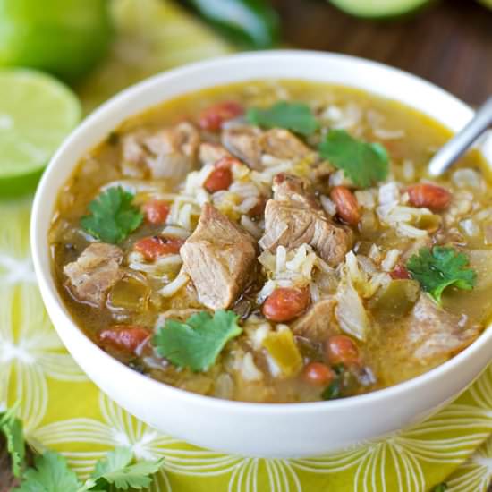 Spicy Chile Verde Stew
