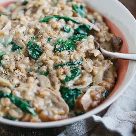 Wild Mushroom Farro Risotto