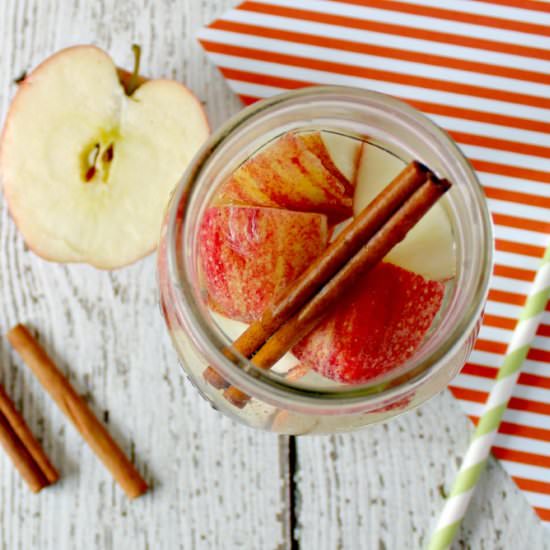 Apple Cinnamon Detox Water