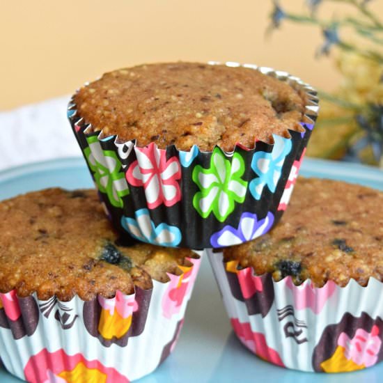 Paleo Blueberry Muffins