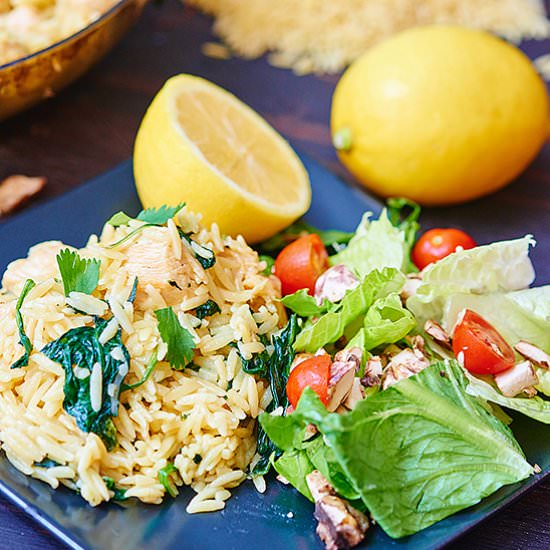 Lemon Garlic Chicken and Orzo Pasta