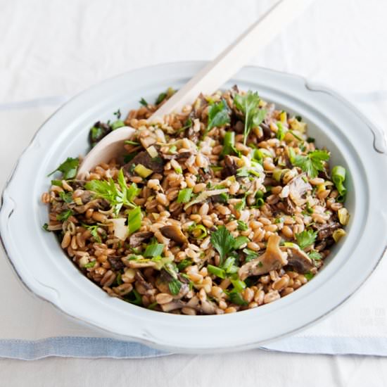 Salad with Spelt Grains & Mushrooms