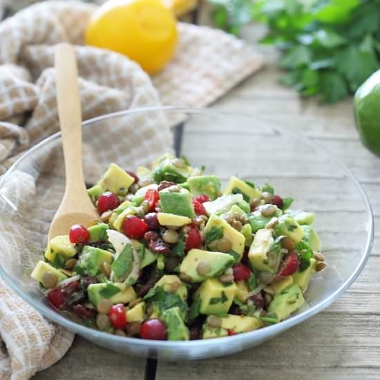 Avocado Lentil Cranberry Salad