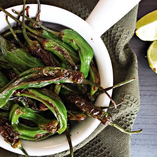 Blistered shishito peppers