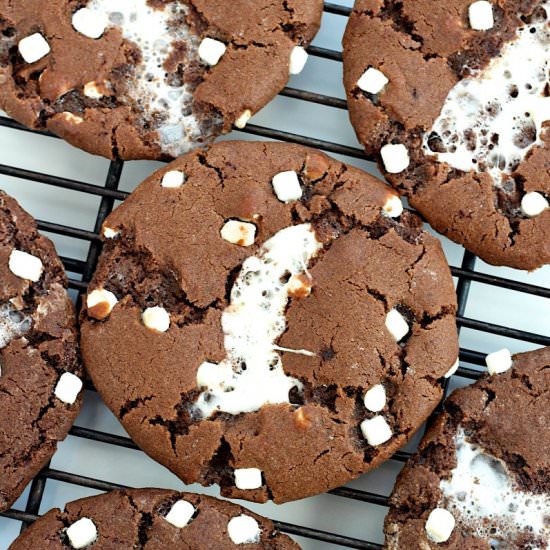 Hot Cocoa Cookies