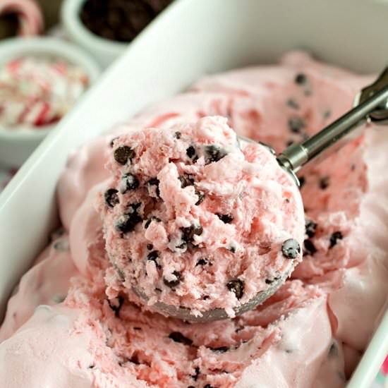 No-Churn Peppermint Ice Cream