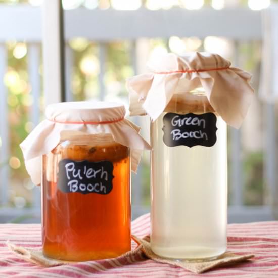3 Steps To Start Making Kombucha