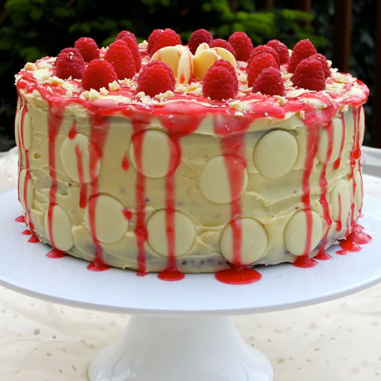 Chocolate-Raspberry Cake GF