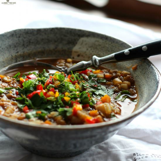 multicolor lentilsoup