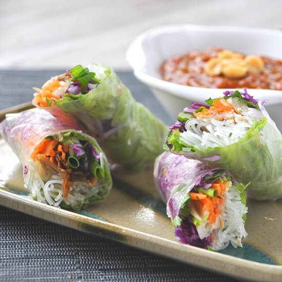 Rainbow Spring Rolls