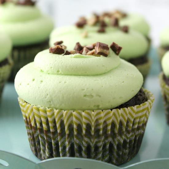 Chocolate mint cupcakes