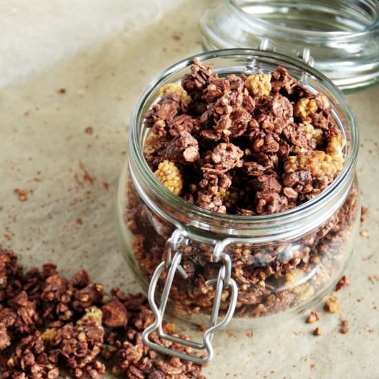 Crunchy Chocolate Granola