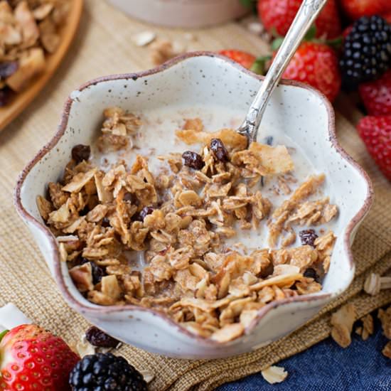 Oatmeal Cookie Granola