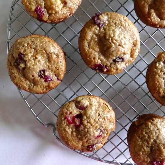 Cranberry Apple Oatmeal Muffins