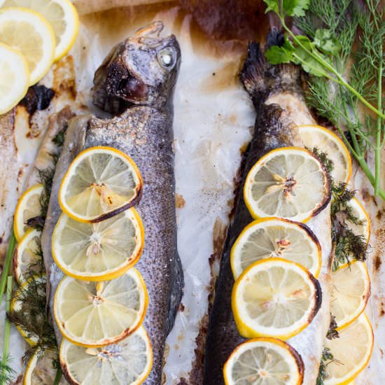 Lemon-herb Baked Trout