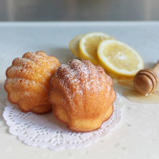 Lemon Honey Madeleine