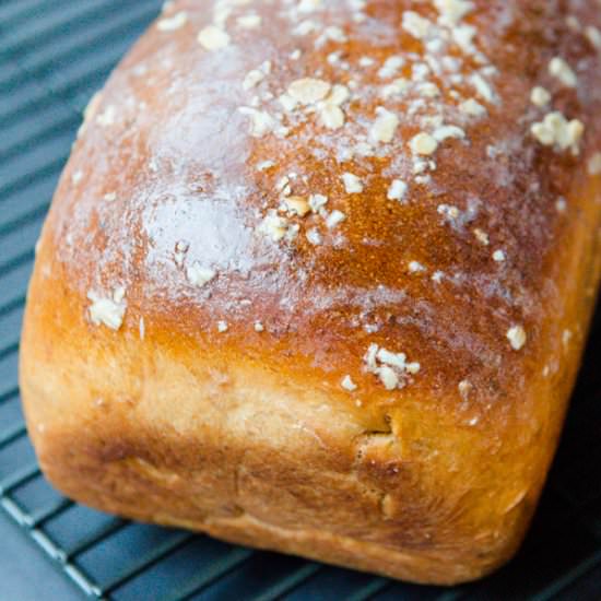 Molasses Oatmeal Bread