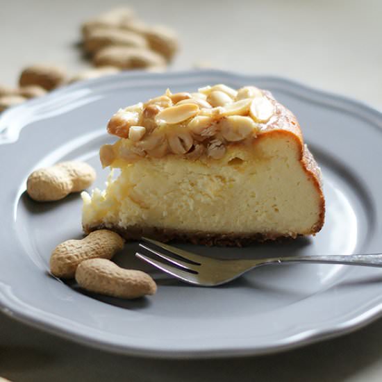 Cheesecake with Peanuts