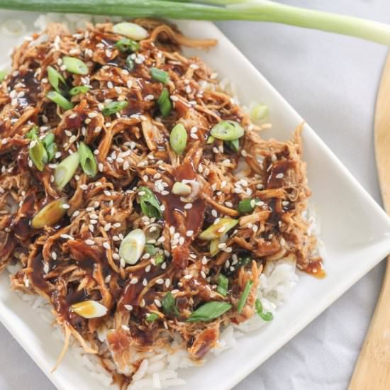 Crockpot Honey Garlic Chicken