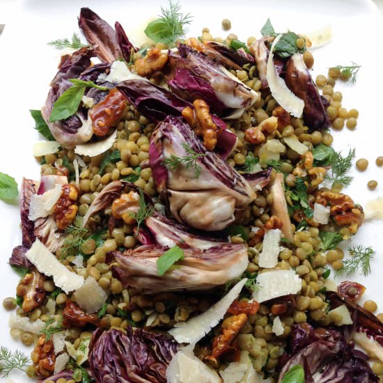 Warm Lentil and Radicchio salad