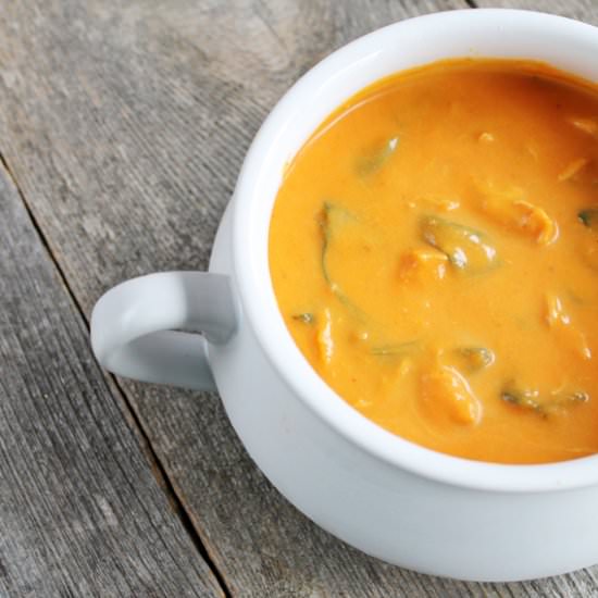 Chicken Carrot & Coconut Curry Soup