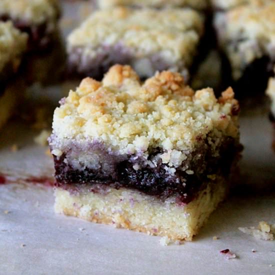 Blueberry Crumble Bar