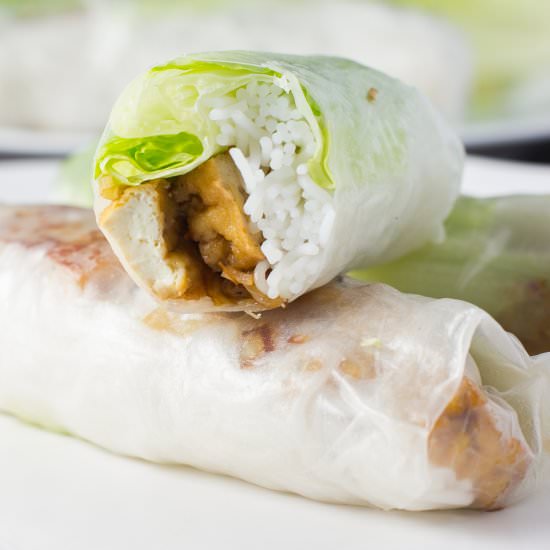 Lemongrass Tofu Fresh Spring Rolls